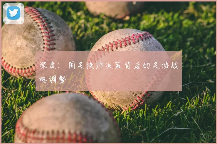深度：国足换帅决策背后的足协战略调整