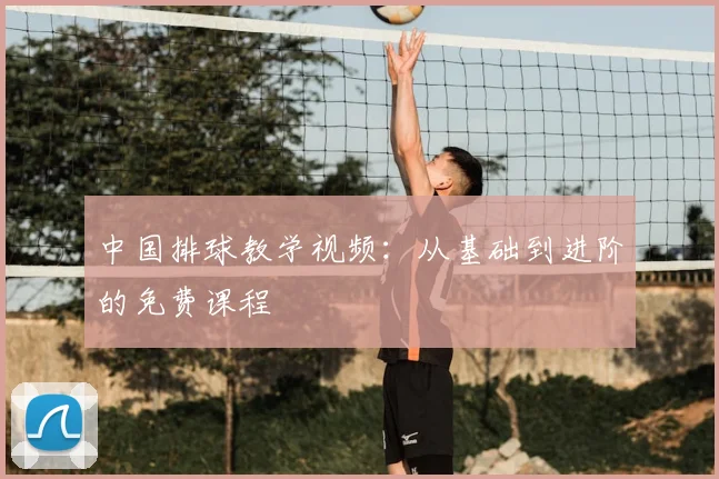 中国排球教学视频：从基础到进阶的免费课程