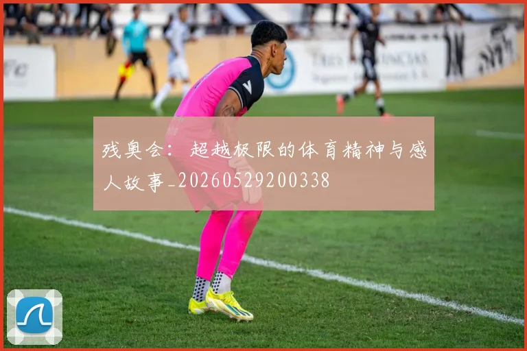 残奥会：超越极限的体育精神与感人故事_20260529200338
