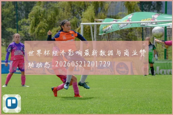 世界杯经济影响最新数据与商业赞助动态_20260521201729
